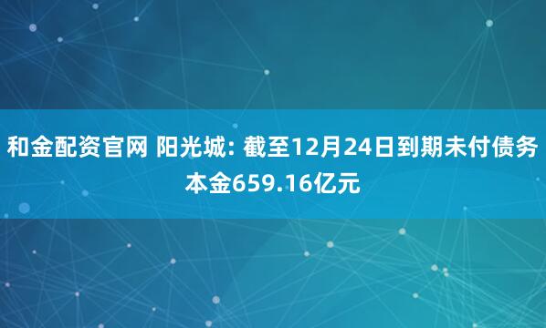 和金配资官网 阳光城: 截至12月24日到期未付债务本金659.16亿元