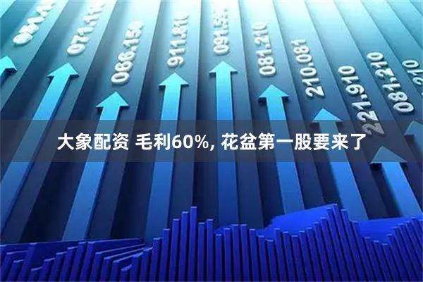 大象配资 毛利60%, 花盆第一股要来了