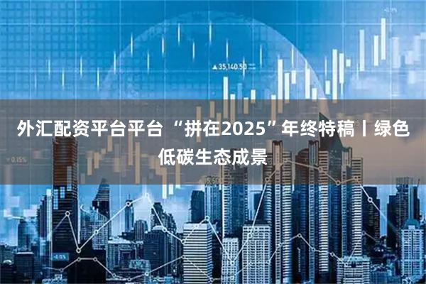 外汇配资平台平台 “拼在2025”年终特稿丨绿色低碳生态成景